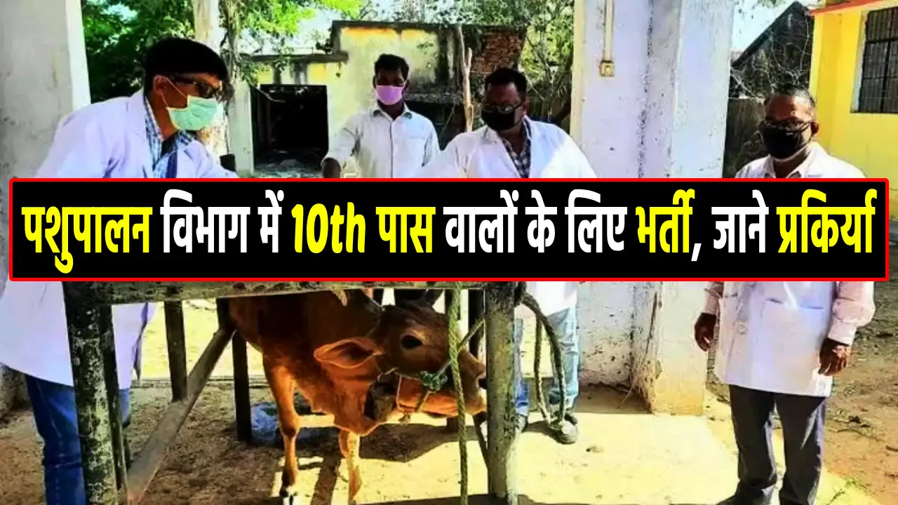 pashupalan vibhag me bharti