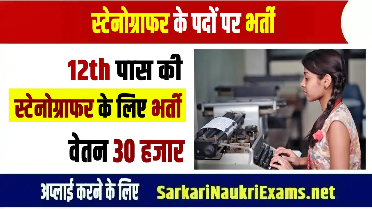 Stenographer Recruitment (1)